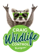 Craig Wildlife Control